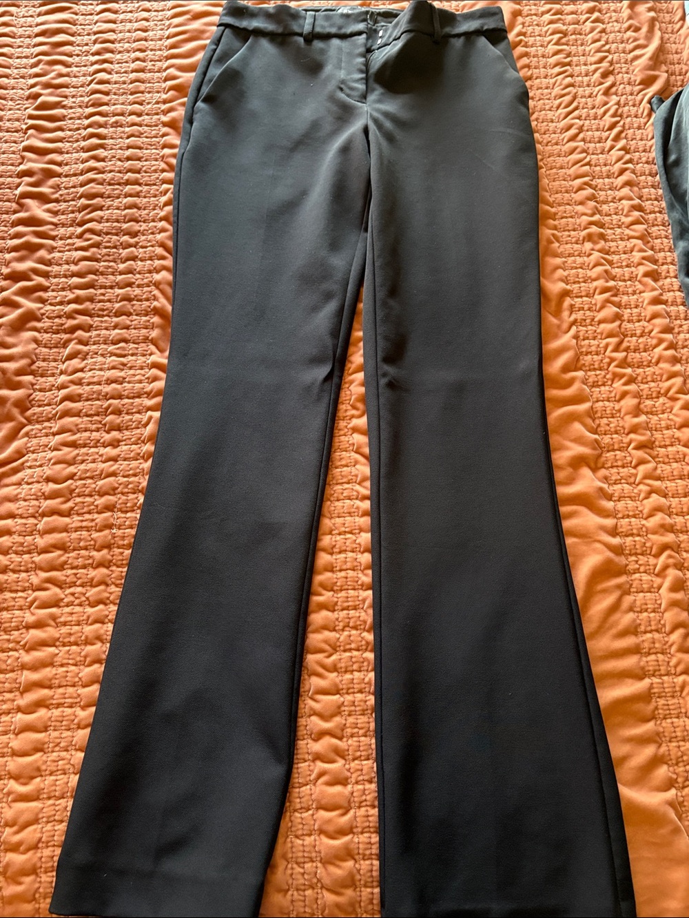 Express Editor Boot Cut Pants